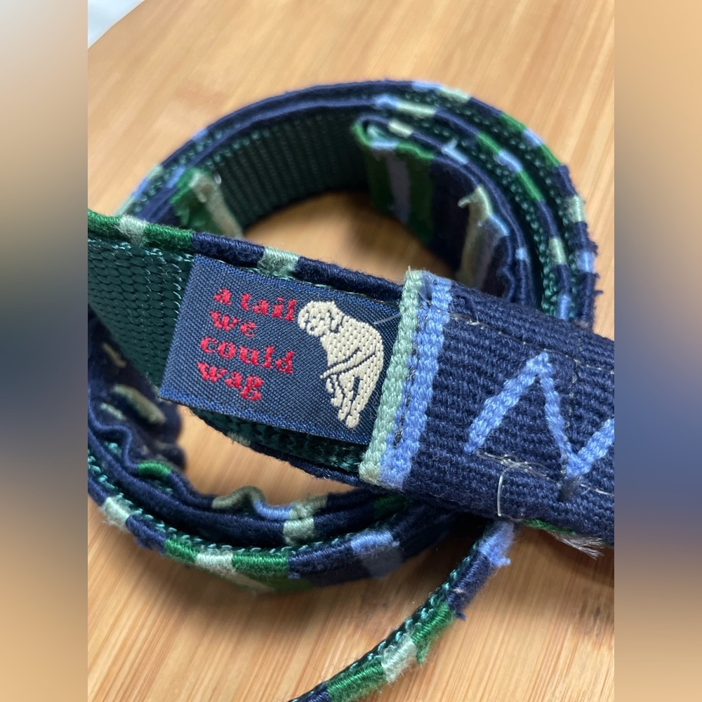 A tail we could wag belt woven blue green silver buckle  XL Unisex MADE IN USA